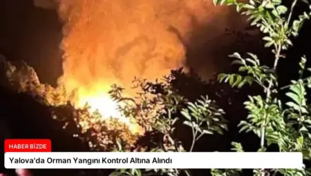 Yalova’da Orman Yangını Kontrol Altına Alındı